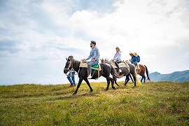 Riding horses activity in Montenegro Country - mountain of Bjelasica.